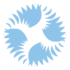 2 (1) (1)